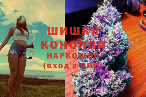 шишки Баксан