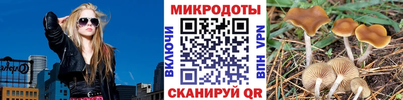 Галлюциногенные грибы Psilocybine cubensis  кракен сайт  Обь 